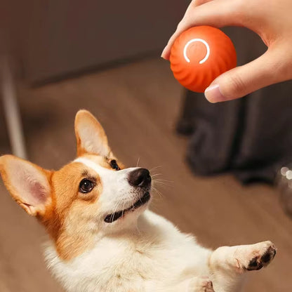 Smart Interactive Dog Toy Ball