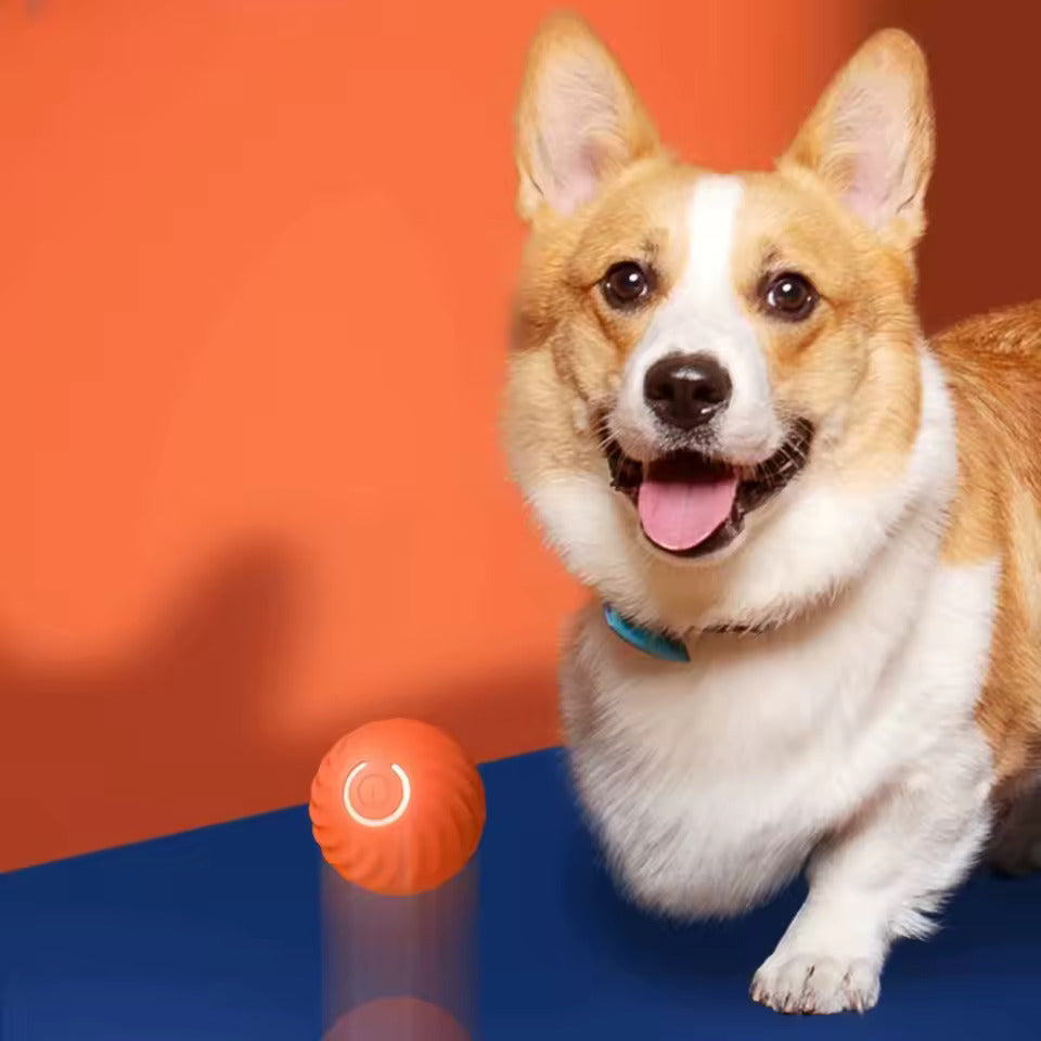 Smart Interactive Dog Toy Ball